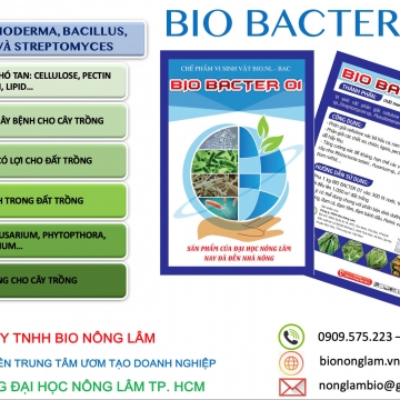 BIO BACTER 01