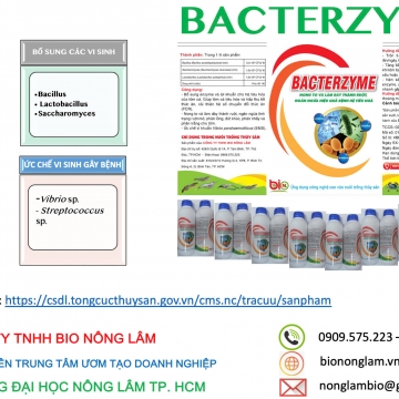 BACTERZYME