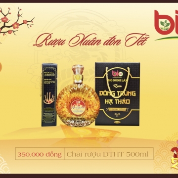 Đông trùng hạ thảo nuôi trong chai XO