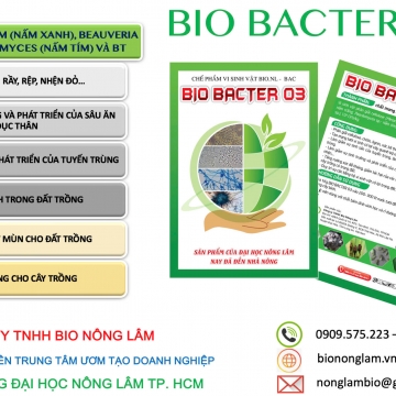 BIO BACTER 03 (Dạng rắn)